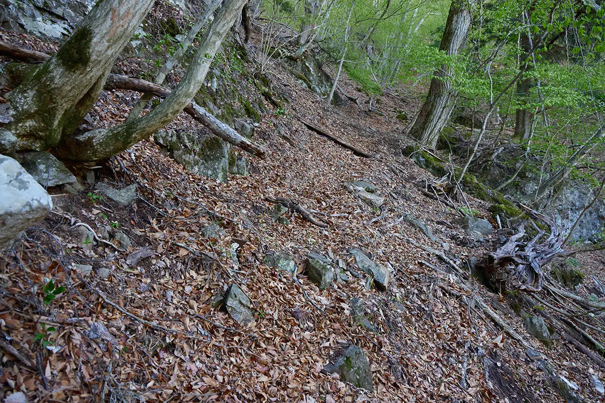 鬼ヶ城登山 何度か斜面を折り返す