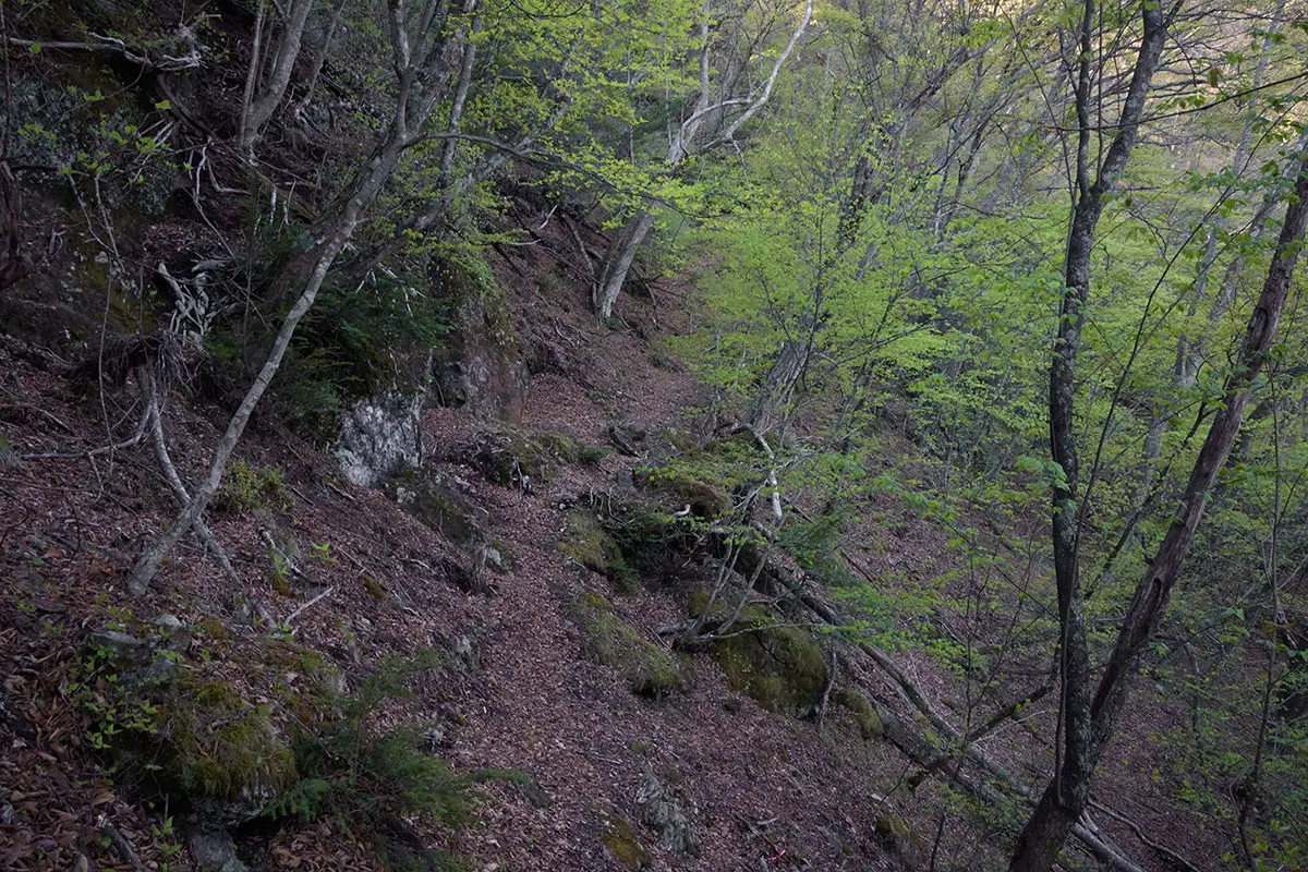 鬼ヶ城登山 矢印の反対には登山道が続く