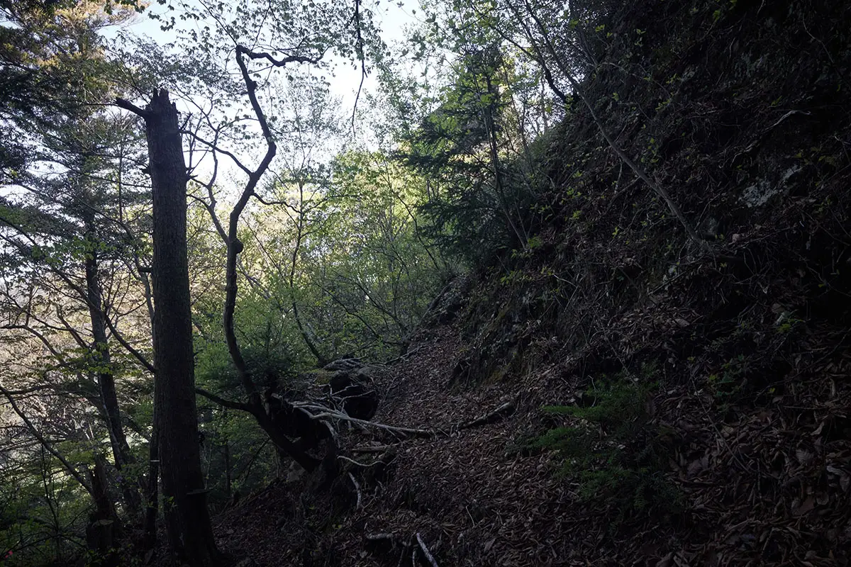 鬼ヶ城登山 矢印の通りに鬼ヶ城へ