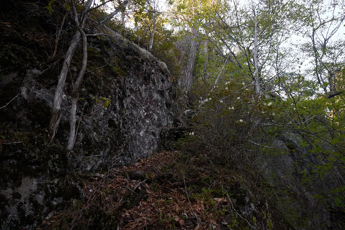 鬼ヶ城登山 狭くて湿ってて足元は脆い