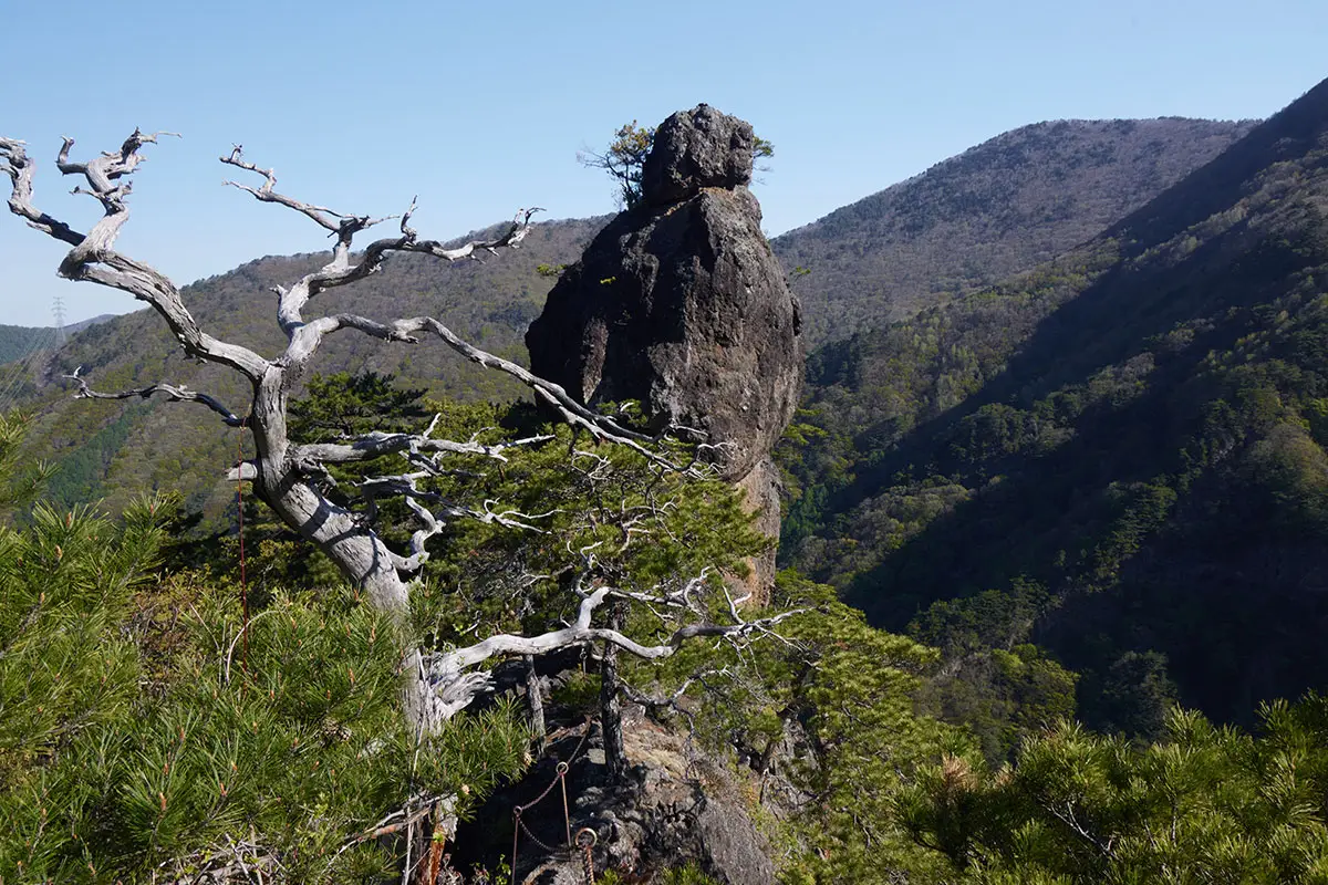 鬼ヶ城登山 いきなり鬼ヶ城が見えた