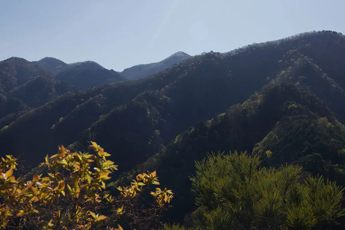 鬼ヶ城登山 東に見える尖った山は湯の丸山