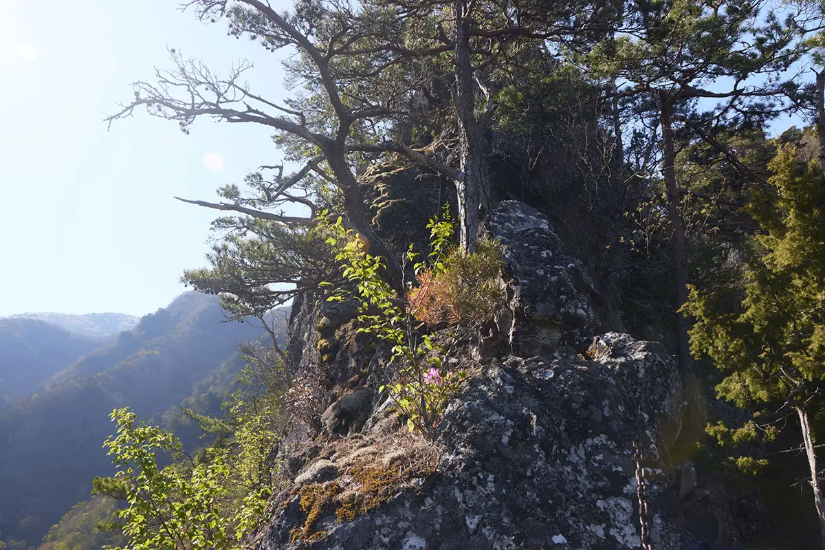 鬼ヶ城登山 鬼ヶ城から先はひとり分の幅しかない岩尾根