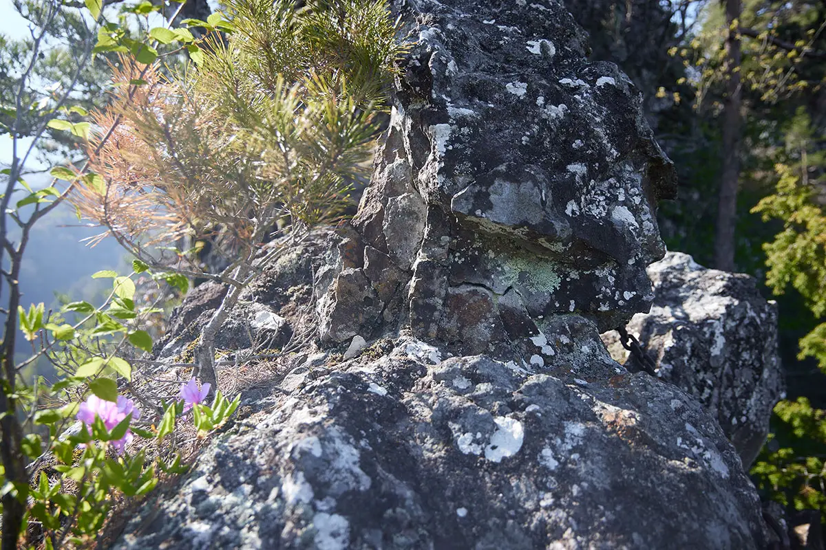 鬼ヶ城登山 細い岩尾根にはヒビも見える