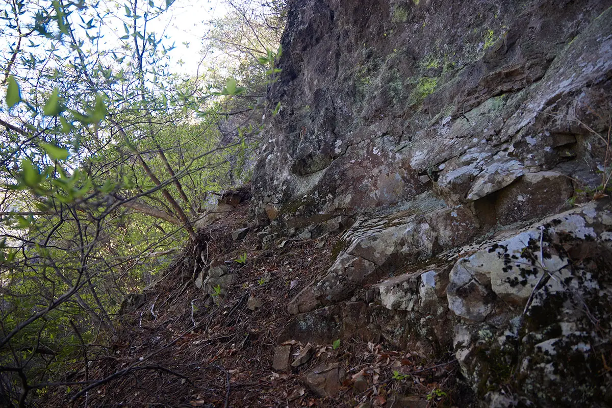 鬼ヶ城登山 岩尾根のほうへ向かってみる
