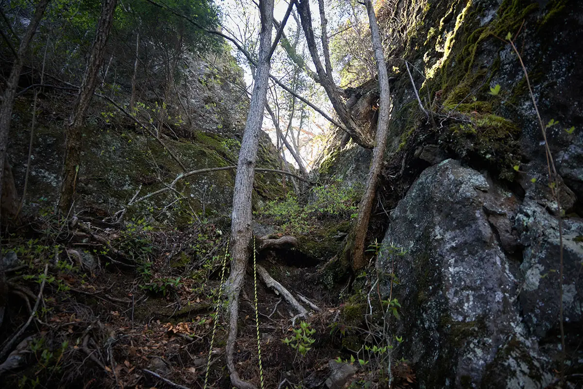 鬼ヶ城登山 尾根の切れ間に向かってロープが伸びている