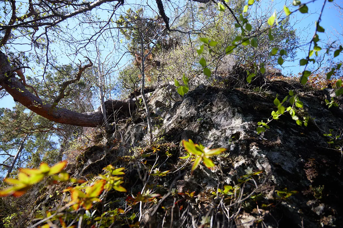 鬼ヶ城登山 岩尾根の切れ間から先は岩を登る