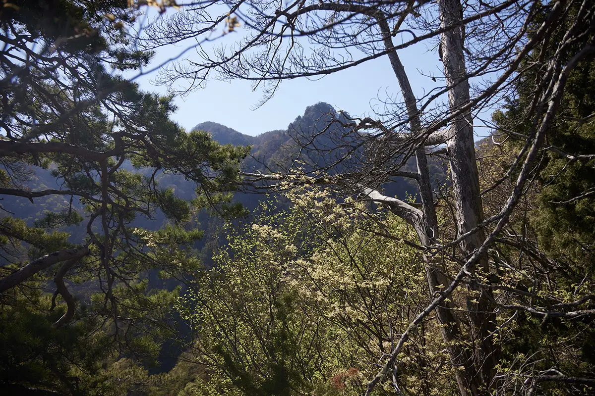 鬼ヶ城登山 霧隠峰の東峰が見える
