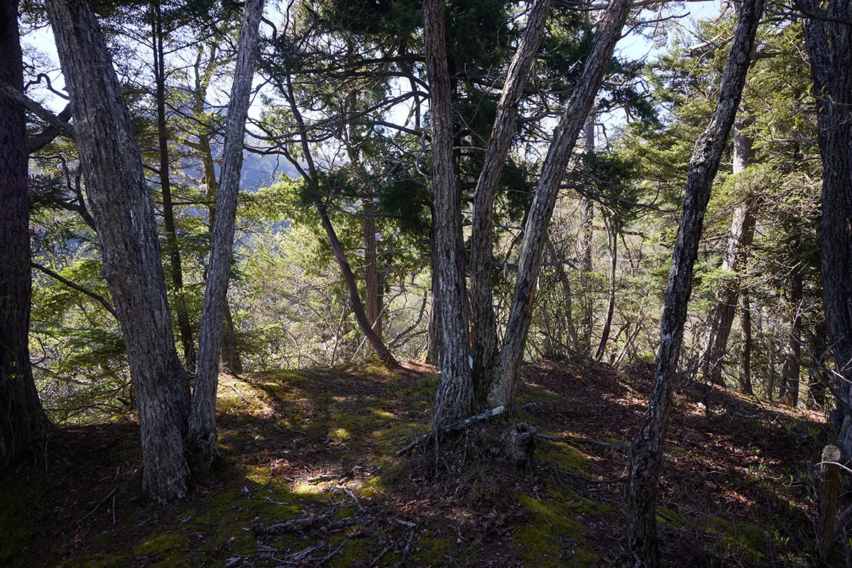 鬼ヶ城登山 ジャンクションに到着