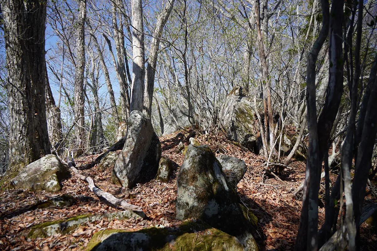 鬼ヶ城登山 石がいっぱい埋まってる