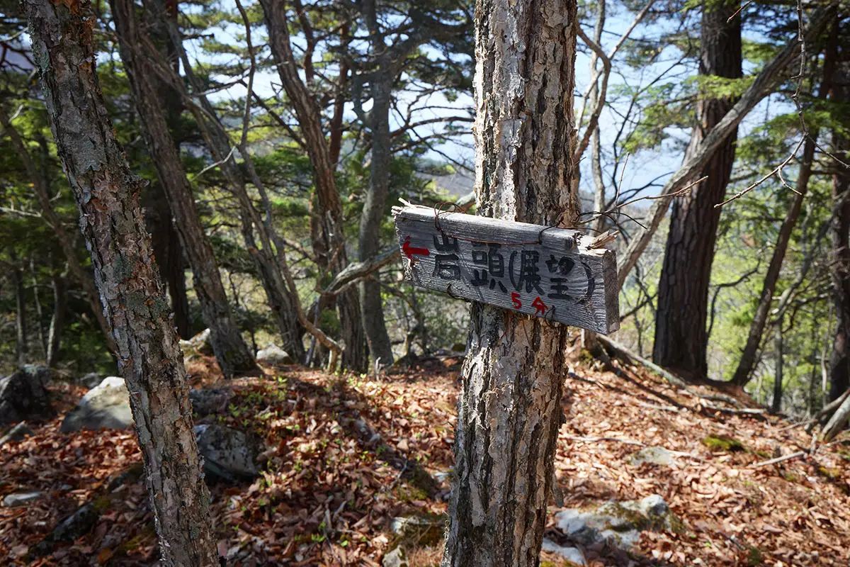 鬼ヶ城登山 眺望のある岩頭へ向かう