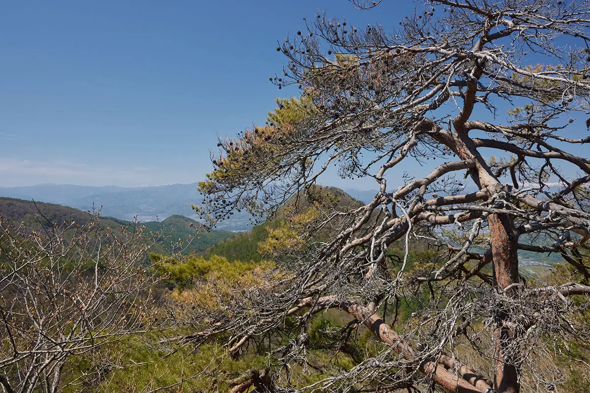 鬼ヶ城登山 達磨山と上田市街方面