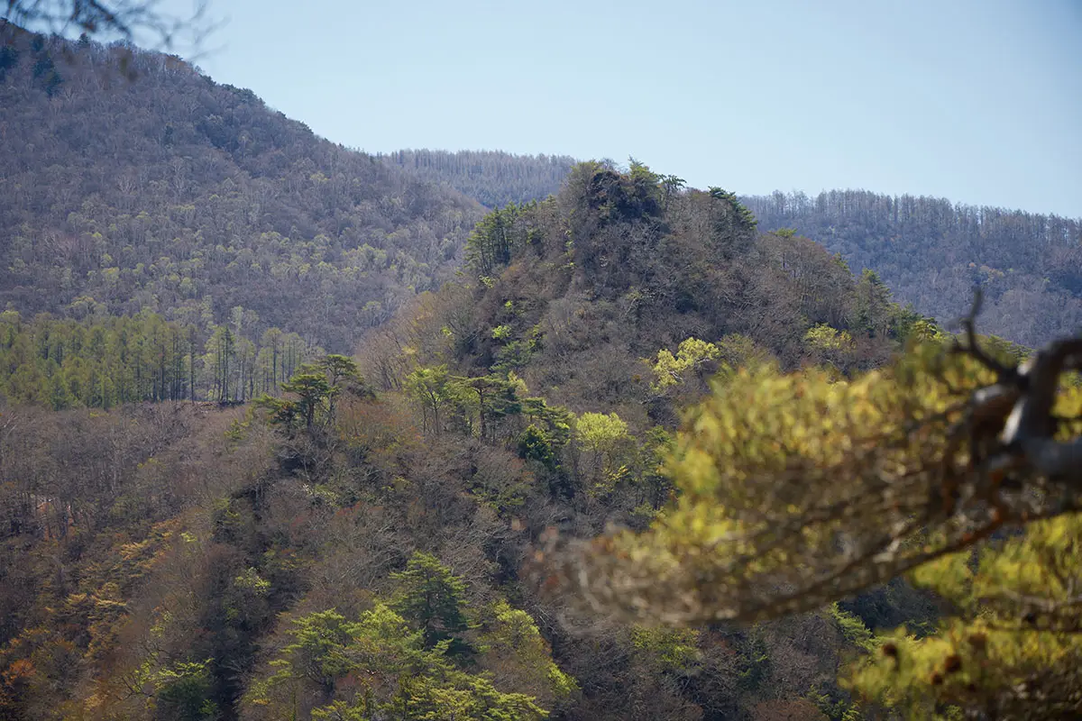 鬼ヶ城登山 霧隠西峰