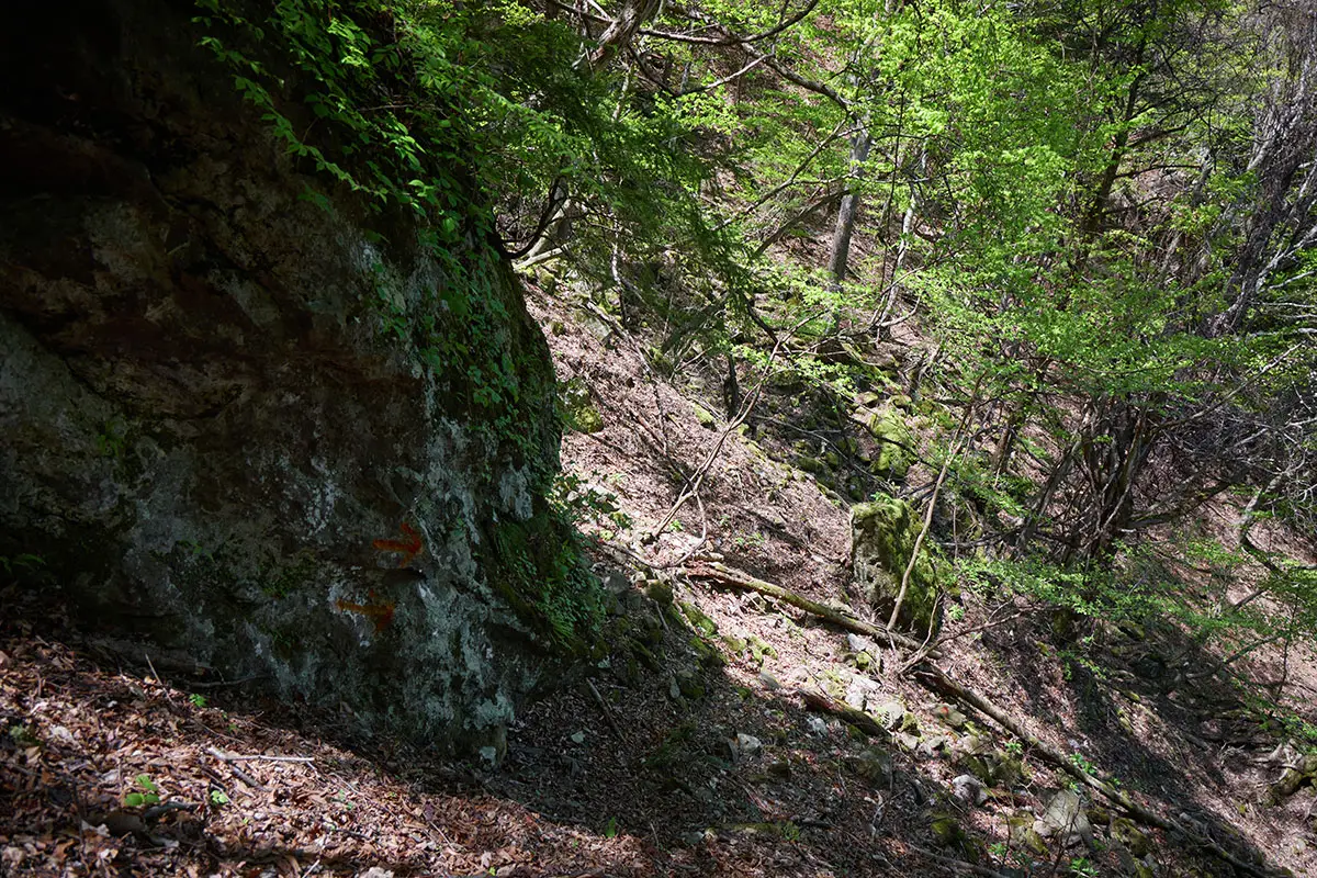 鬼ヶ城登山 登山道まで下りてきた