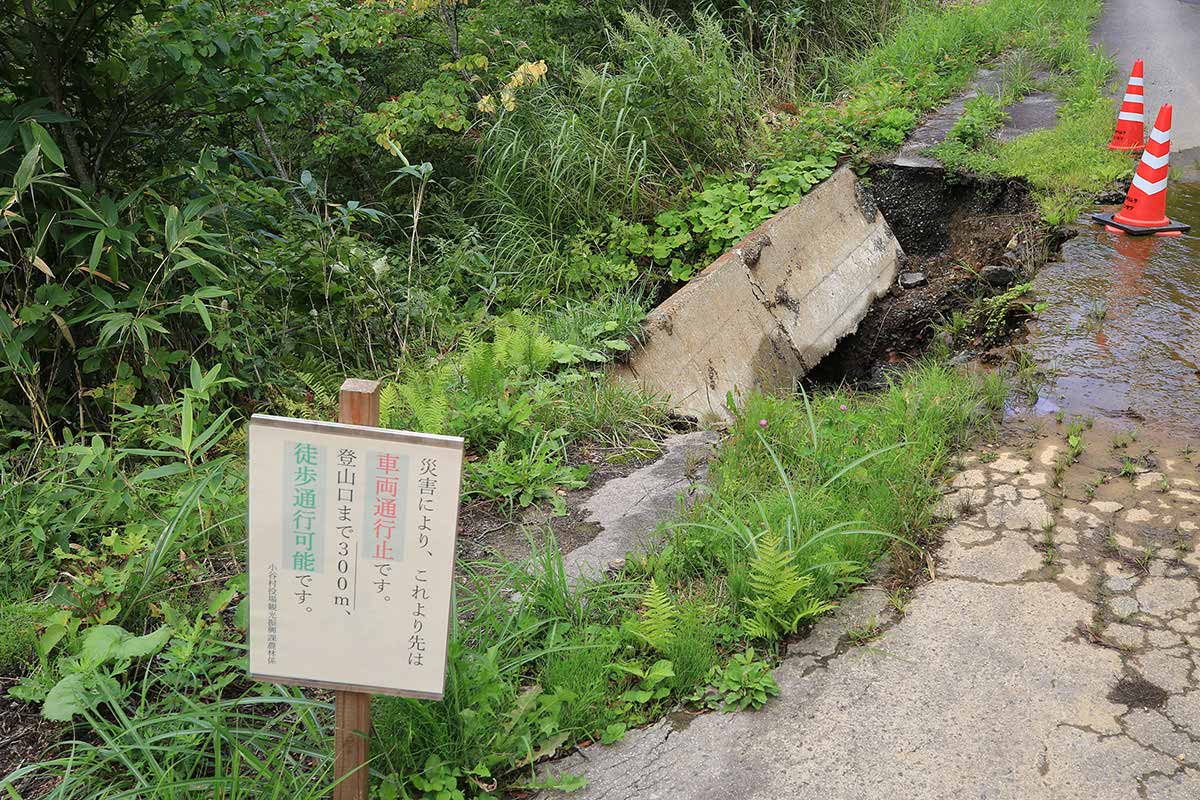 大渚山登山 いきなりコレか