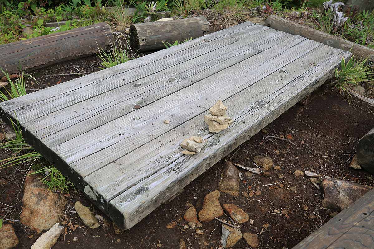大渚山登山 これはちょっと落ち着かない