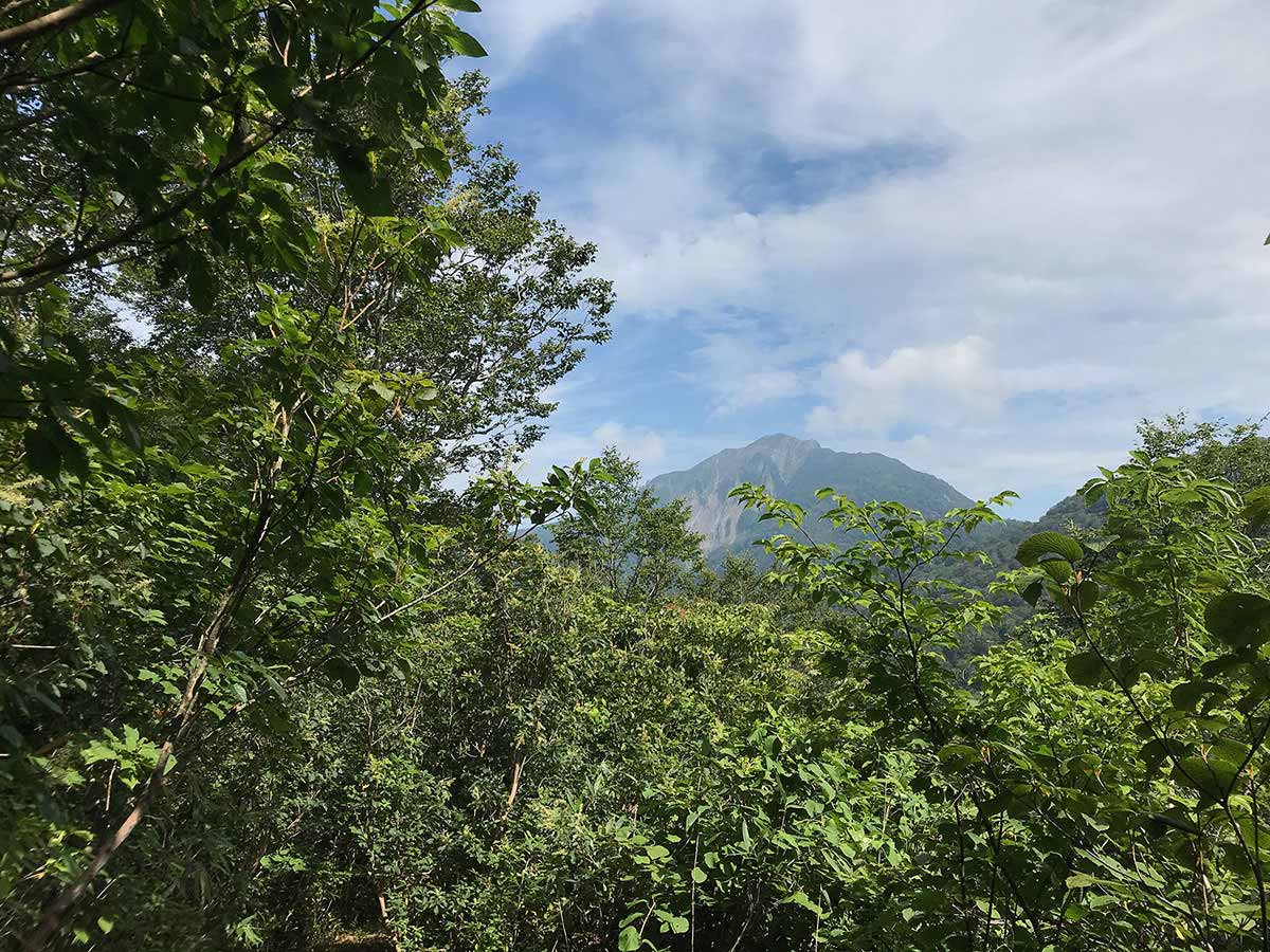 大渚山登山 あれ。青空になってないか?