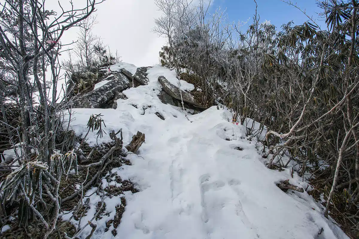 男山登山 男山-ロープが雪に埋まってる