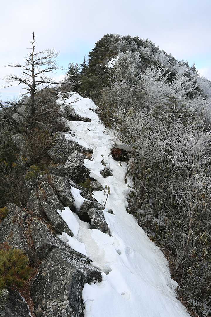 男山 登山（立原高原） （3月）｜霧氷の中を歩く岩の展望台