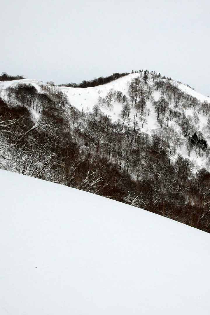 佐渡山　登山（大橋登山口） （2月）｜スノーシューで歩くスキーヤーの多い山