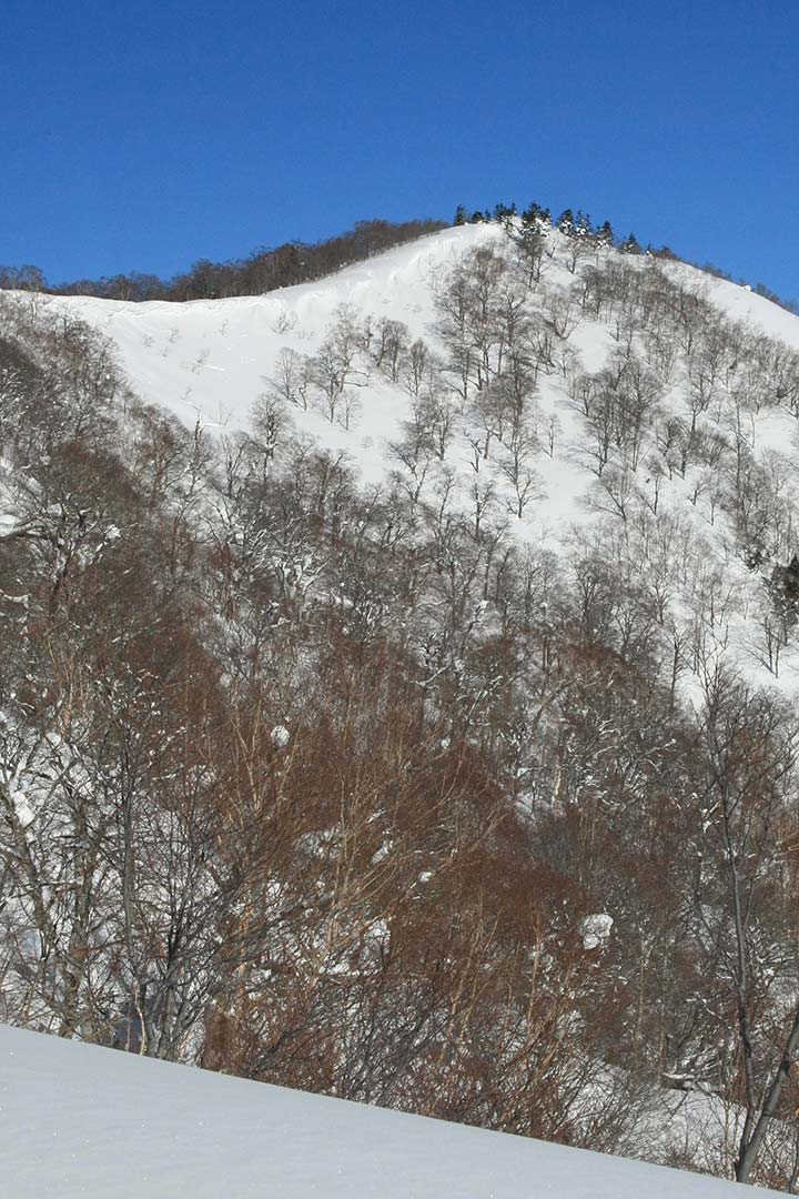 佐渡山　厳冬期登山（大橋登山口） （1月）｜黒姫山と飯縄山を見ながらの稜線を歩く