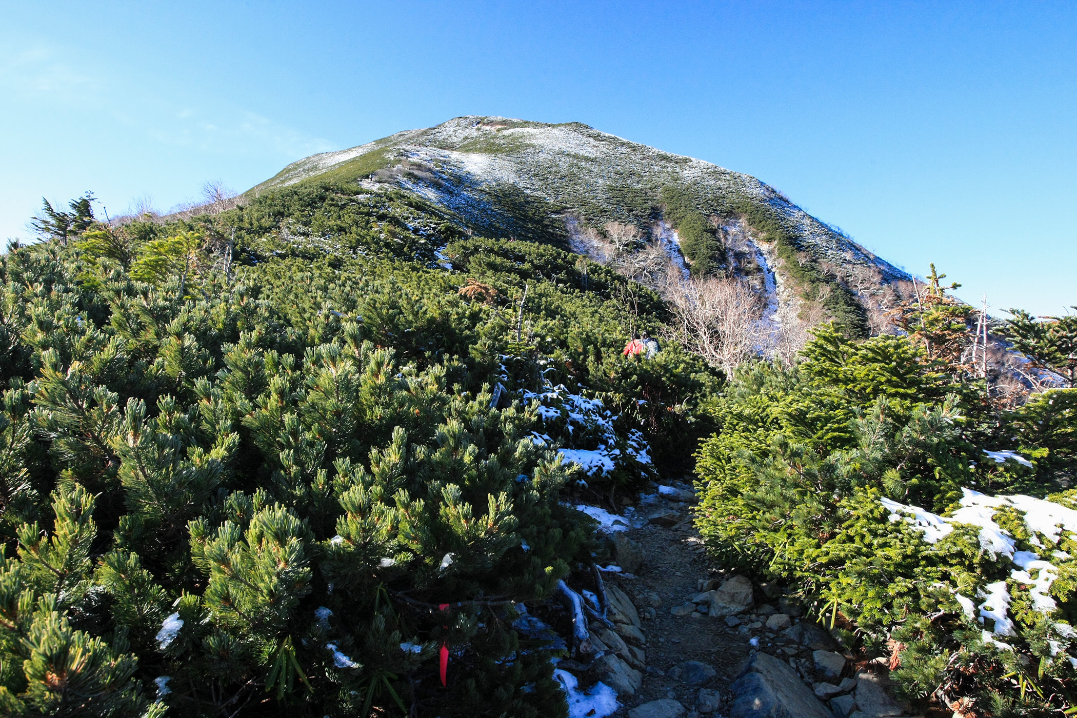 仙丈ヶ岳 登山 10月 初心者向け北沢峠からの日帰り登山 登山百景