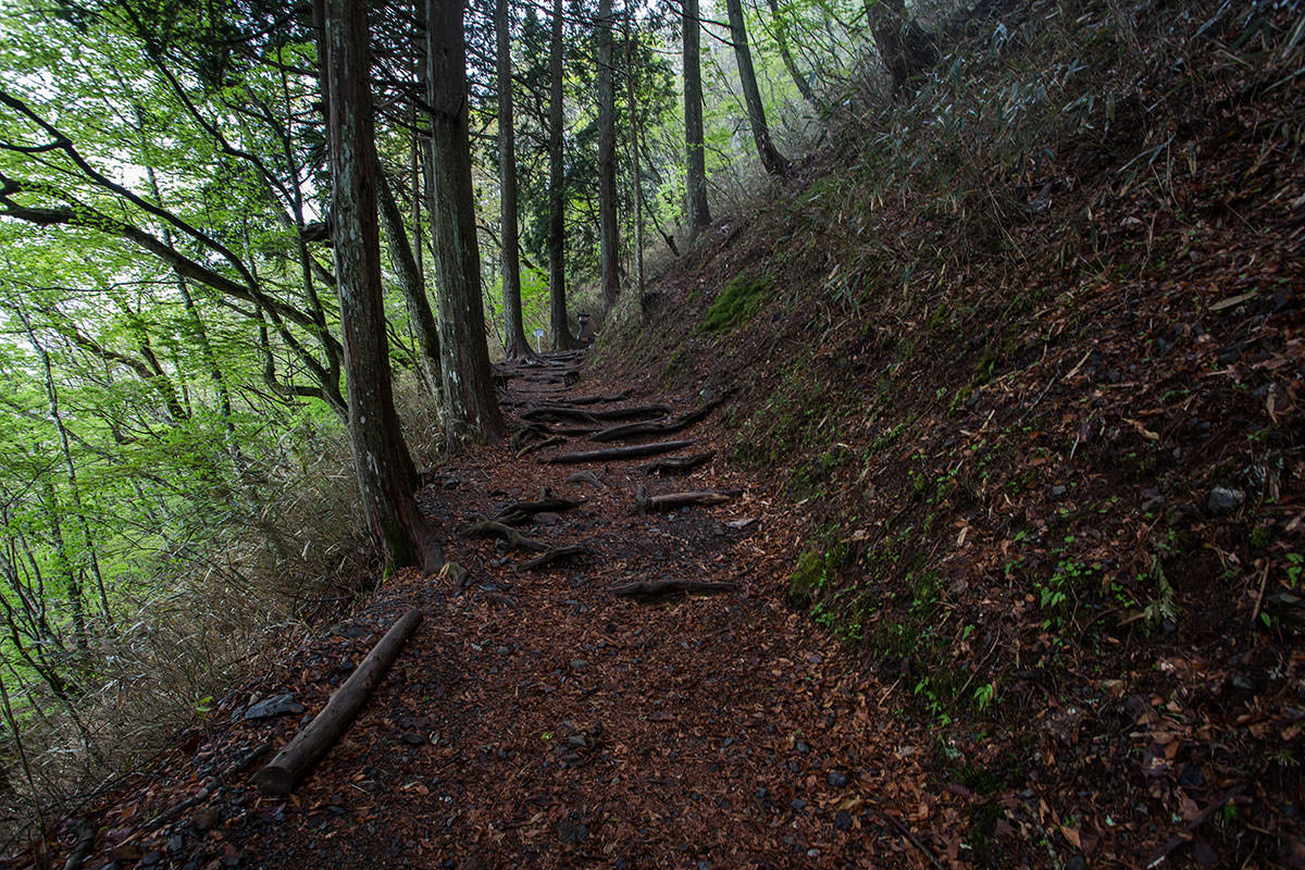 七面山 登山（表参道） 日帰りで登る信仰の山（5月）登山百景