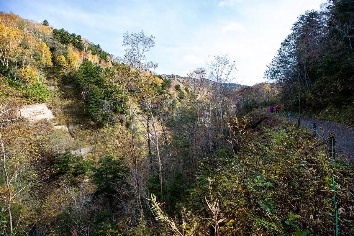 志賀高原志賀山登山 志賀高原志賀山-左側は紅葉と落葉