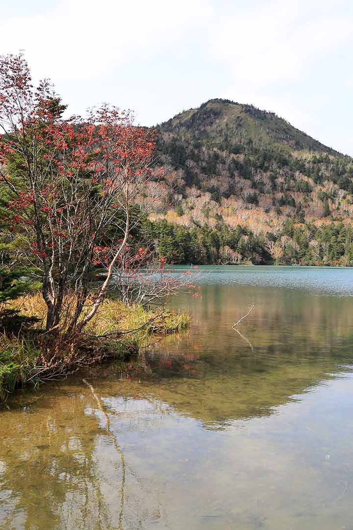紅葉の志賀高原トレッキング （10月）｜大沼池から志賀山へ登るルート