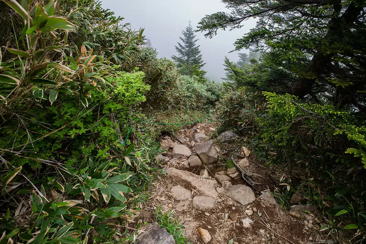 志賀高原志賀山登山 志賀高原志賀山-裏志賀山の下りは高い段差と大きな石