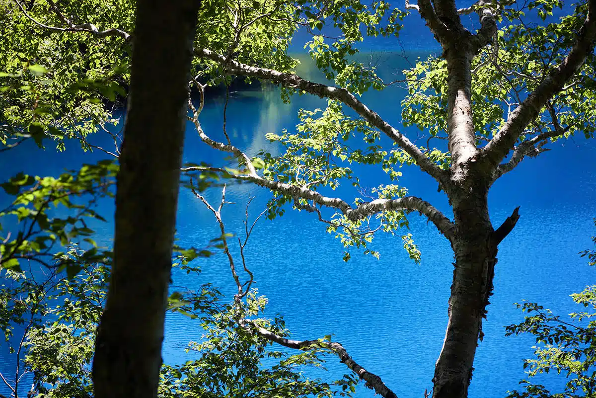 【志賀高原志賀山登山】志賀高原志賀山-葉っぱの間から見る青い水面が綺麗