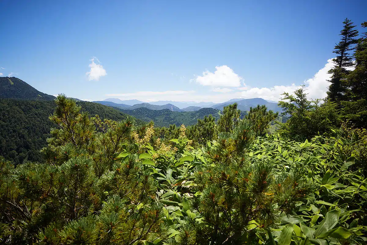 志賀高原志賀山登山 志賀高原志賀山-横手山の南側の景色が見える