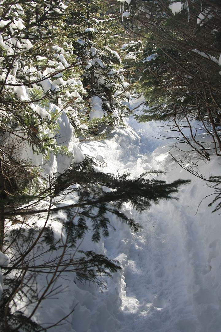 縞枯山　登山（北八ヶ岳ロープウェイ） （2月）｜雪の南八ヶ岳を眺めよう