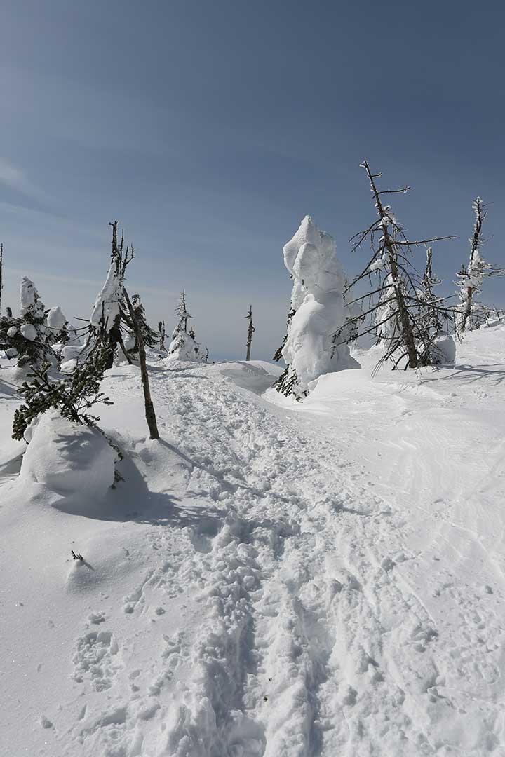 縞枯山　冬季登山 （1月）｜北八ヶ岳の展望台から南八ヶ岳を眺める