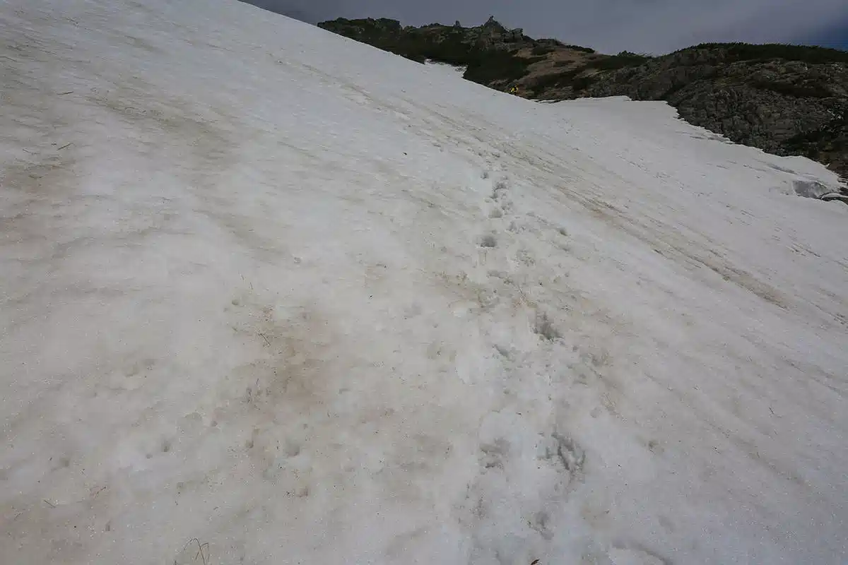 白馬岳登山 白馬岳-難所の大雪渓トラバース