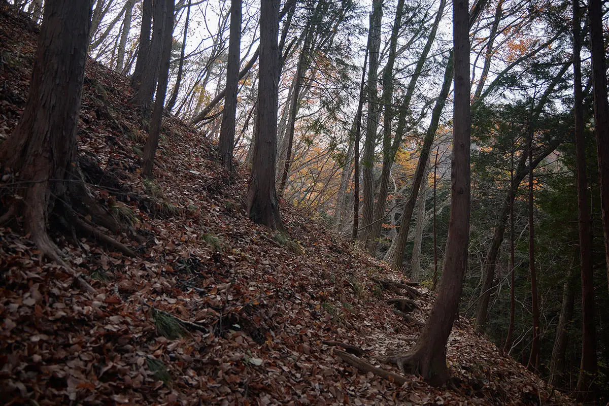 高川山登山 高川山-落ち葉の斜面をトラバース