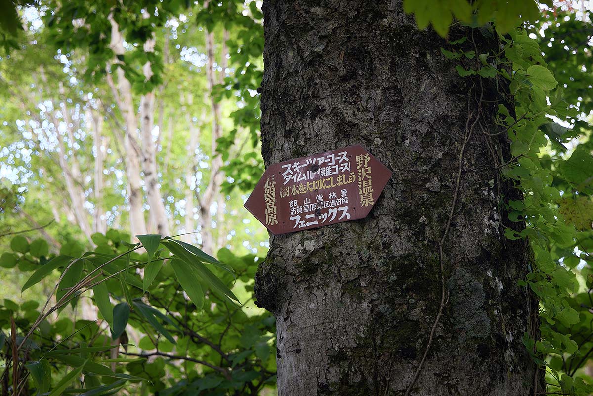 高標山登山 地面がグズグズじゃないか