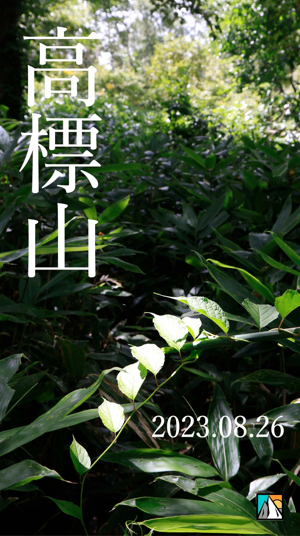 高標山 カヤノ平
