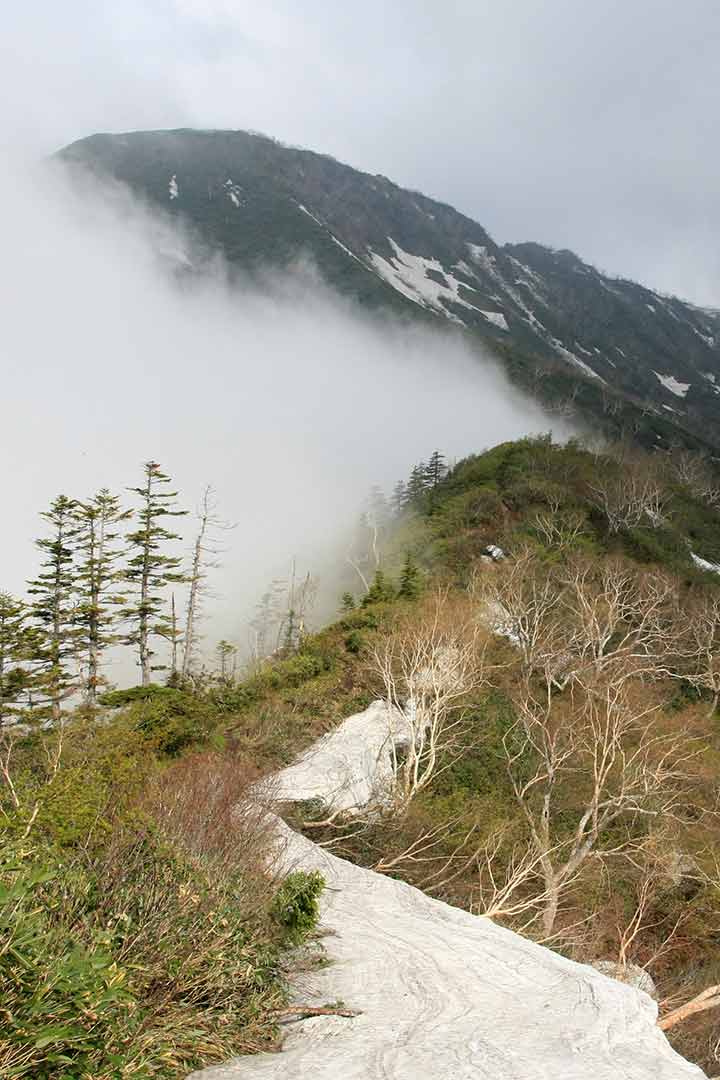 高妻山　日帰り登山（弥勒尾根新道） （6月）｜戸隠連峰の尖塔系の山