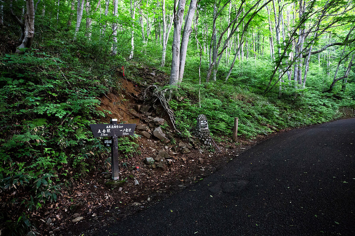 日帰り 谷川主脈縦走 6月 花の咲く谷川連峰主脈を駆ける 登山百景