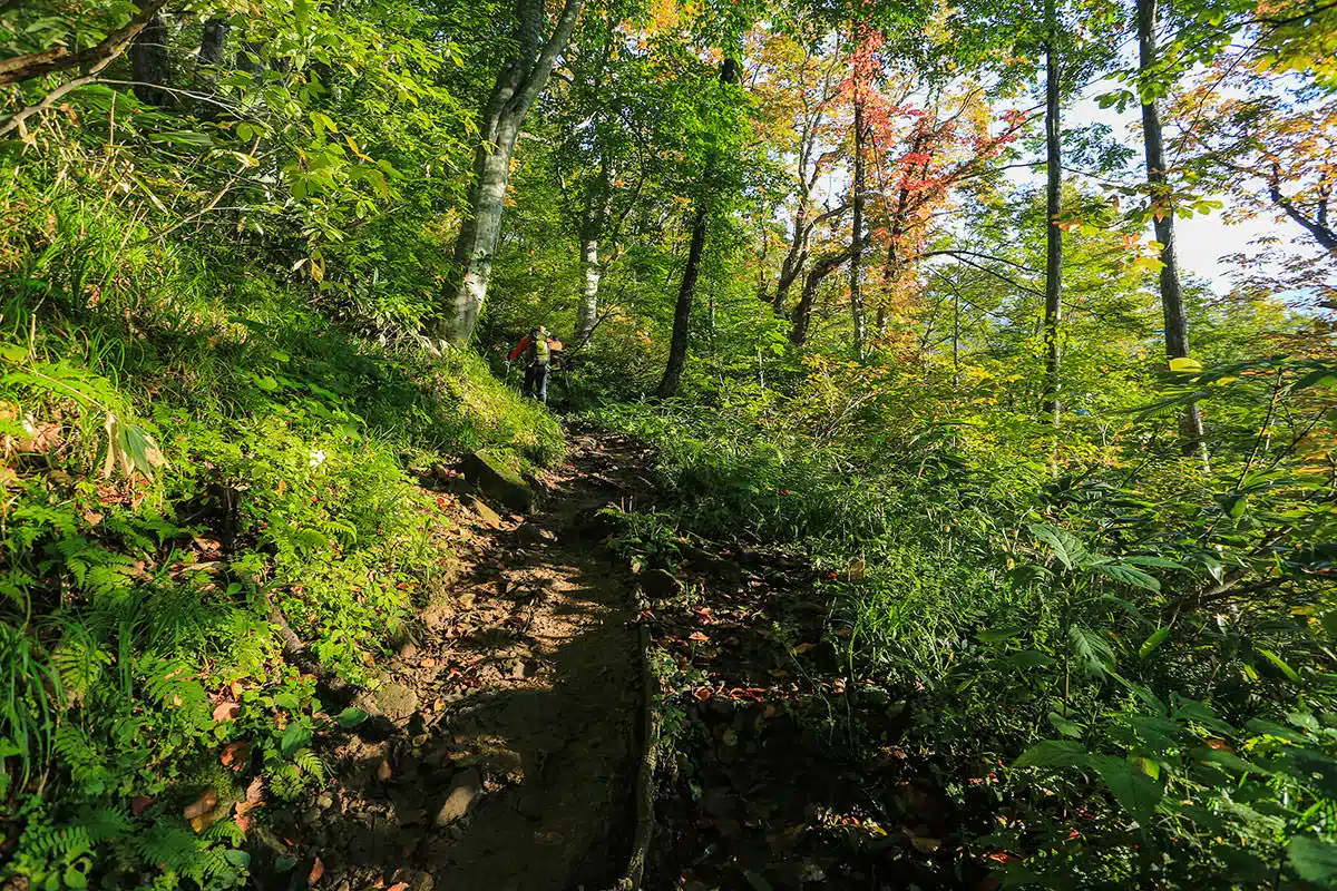 谷川岳登山 紅葉きれい