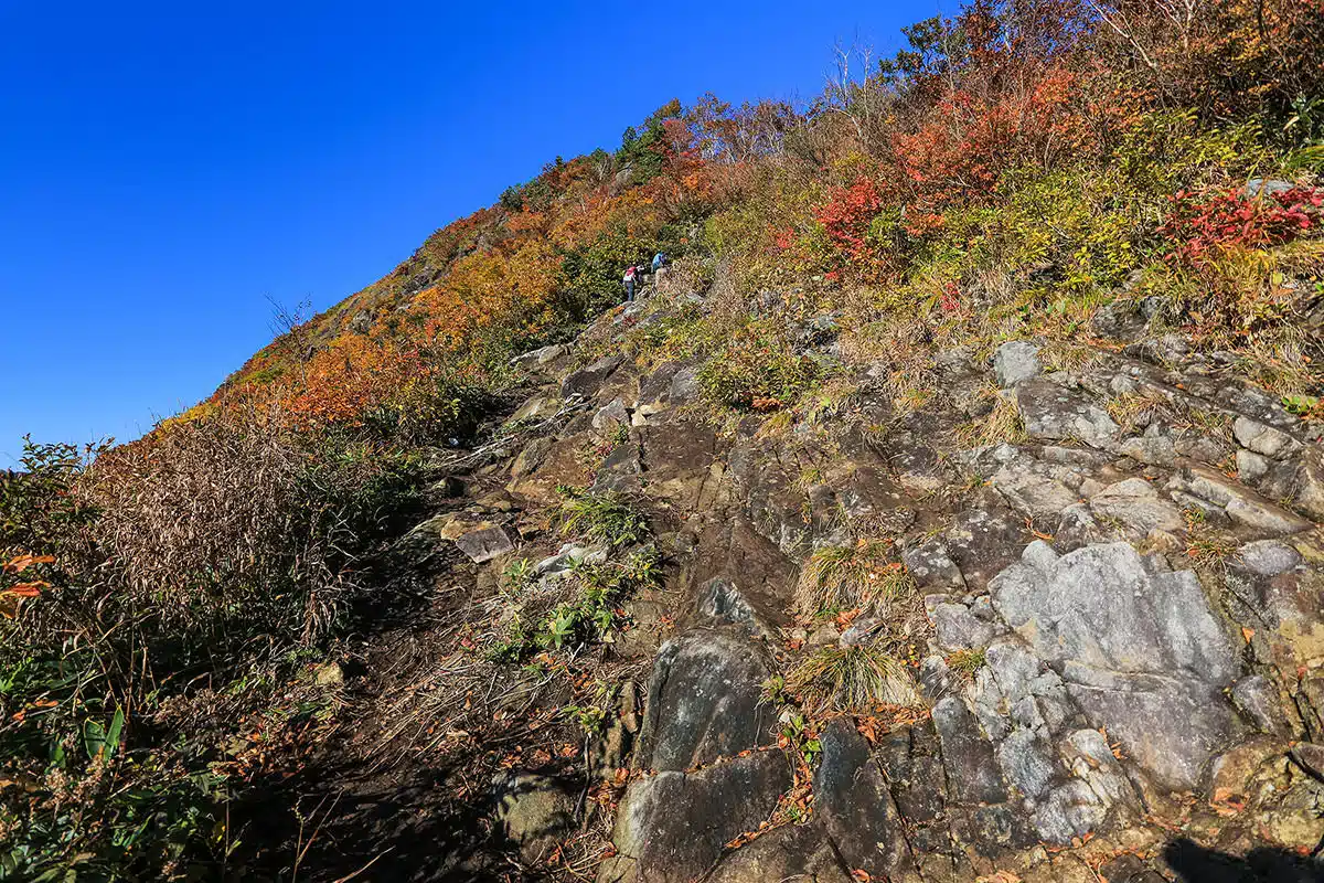 谷川岳登山 ここからは尾根ルート