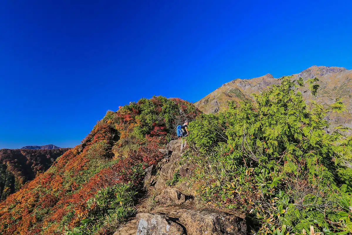 谷川岳登山 稜線を歩く