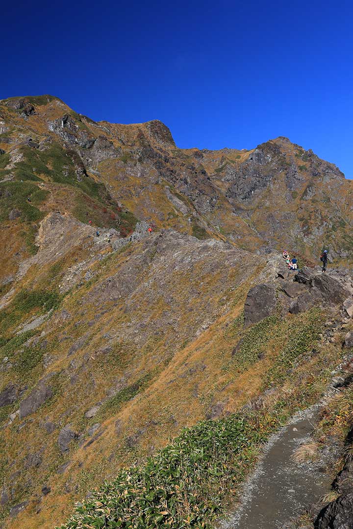谷川岳　紅葉登山（西黒尾根） （10月）｜紅葉の日本三大急登を登る