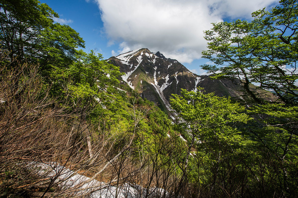 谷川岳 難易度低めの初心者コース 6月 雪の残る天神尾根へロープウェイを使って登る 登山百景