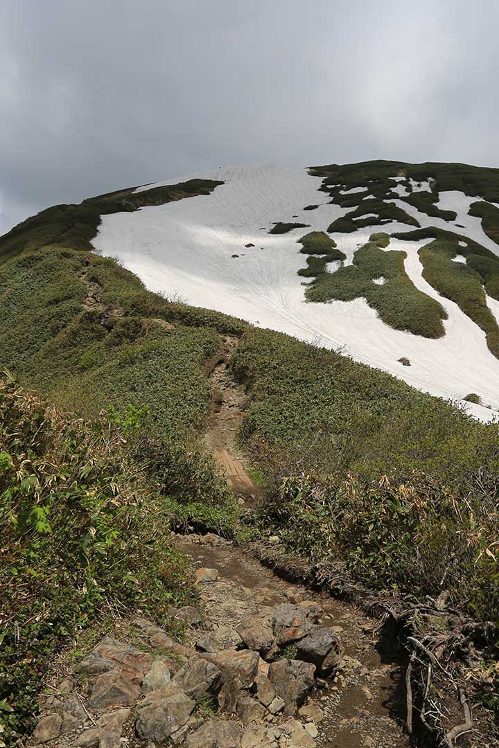 谷川岳 難易度低めの初心者コース （6月）｜雪の残る天神尾根へロープウェイを使って登る-登山百景