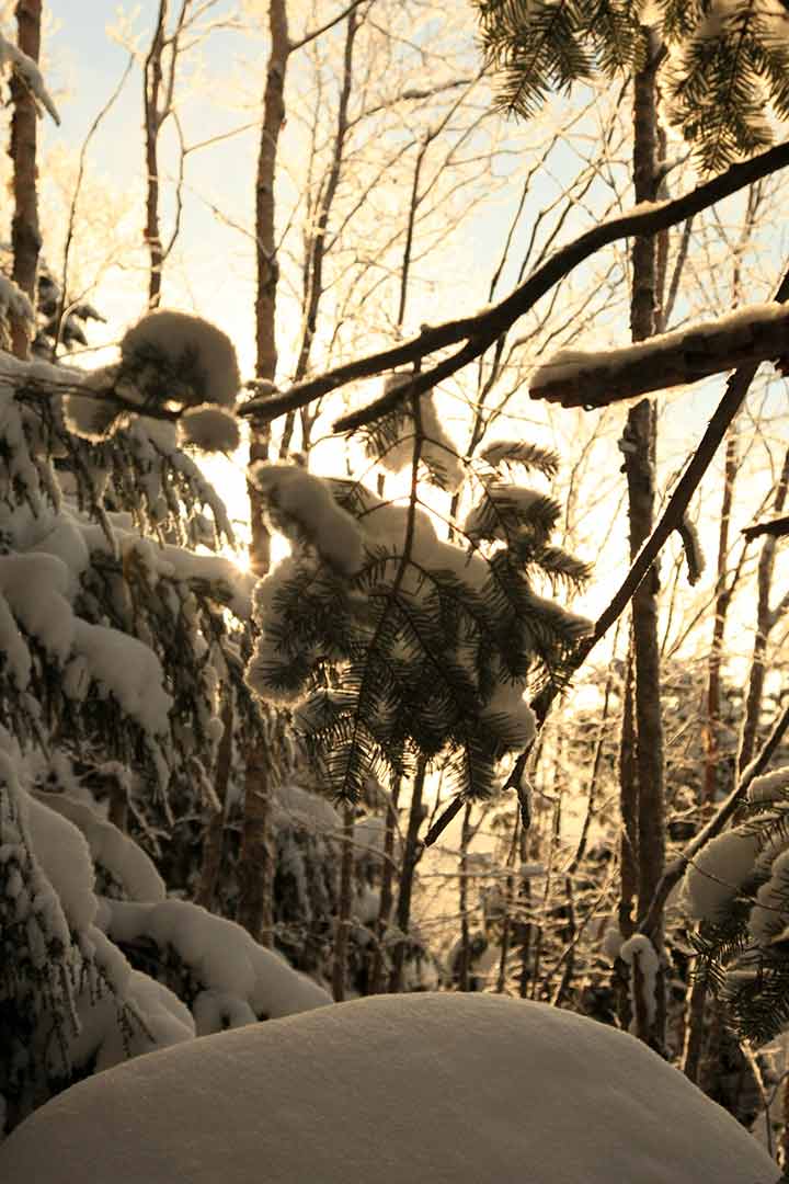 蓼科山　冬季登山（スズラン峠） （1月）｜風の吹き荒ぶ冬の蓼科
