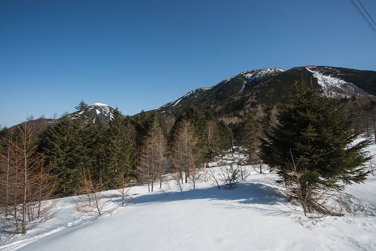 北横岳 蓼科山 縦走 3月 500mの高低差を登り返す残雪の北八ヶ岳 登山百景