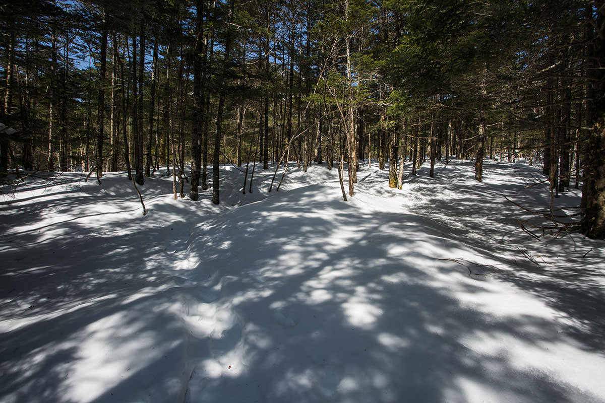 北横岳 蓼科山 縦走 3月 500mの高低差を登り返す残雪の北八ヶ岳 登山百景