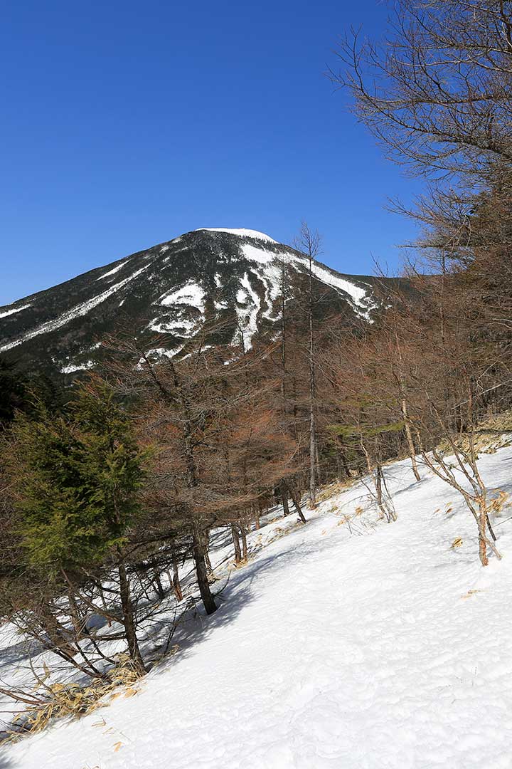 北横岳 蓼科山 縦走 （3月）｜500mの高低差を登り返す残雪の北八ヶ岳